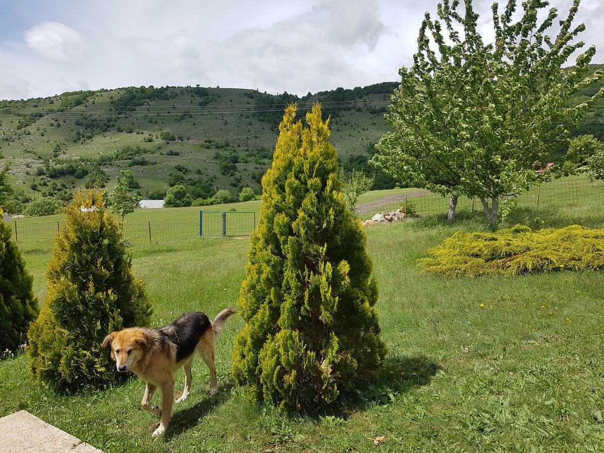 Holiday Home Zavicaj Pluzine Exterior photo