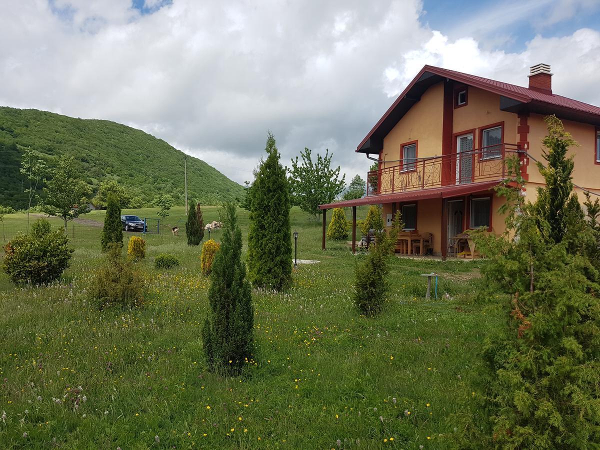 Holiday Home Zavicaj Pluzine Exterior photo